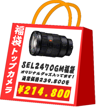 sel2470gm