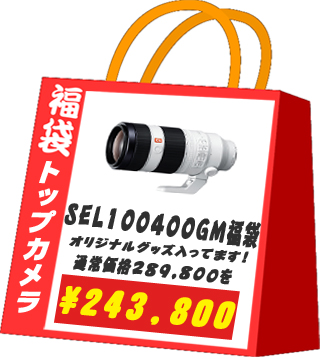 sel100400gm