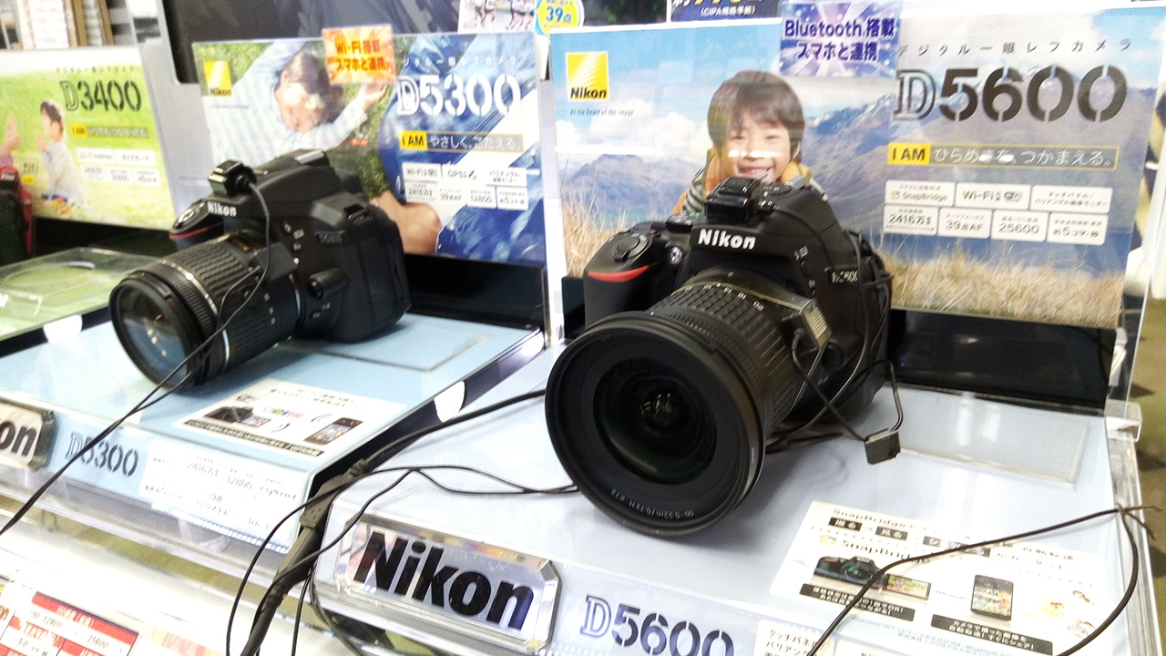 D5600